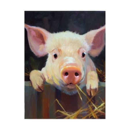 Carolyne Hawley 'Farm Club I' Canvas Art,18x24
